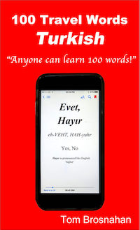 100 Travel Words - Turkish book cover